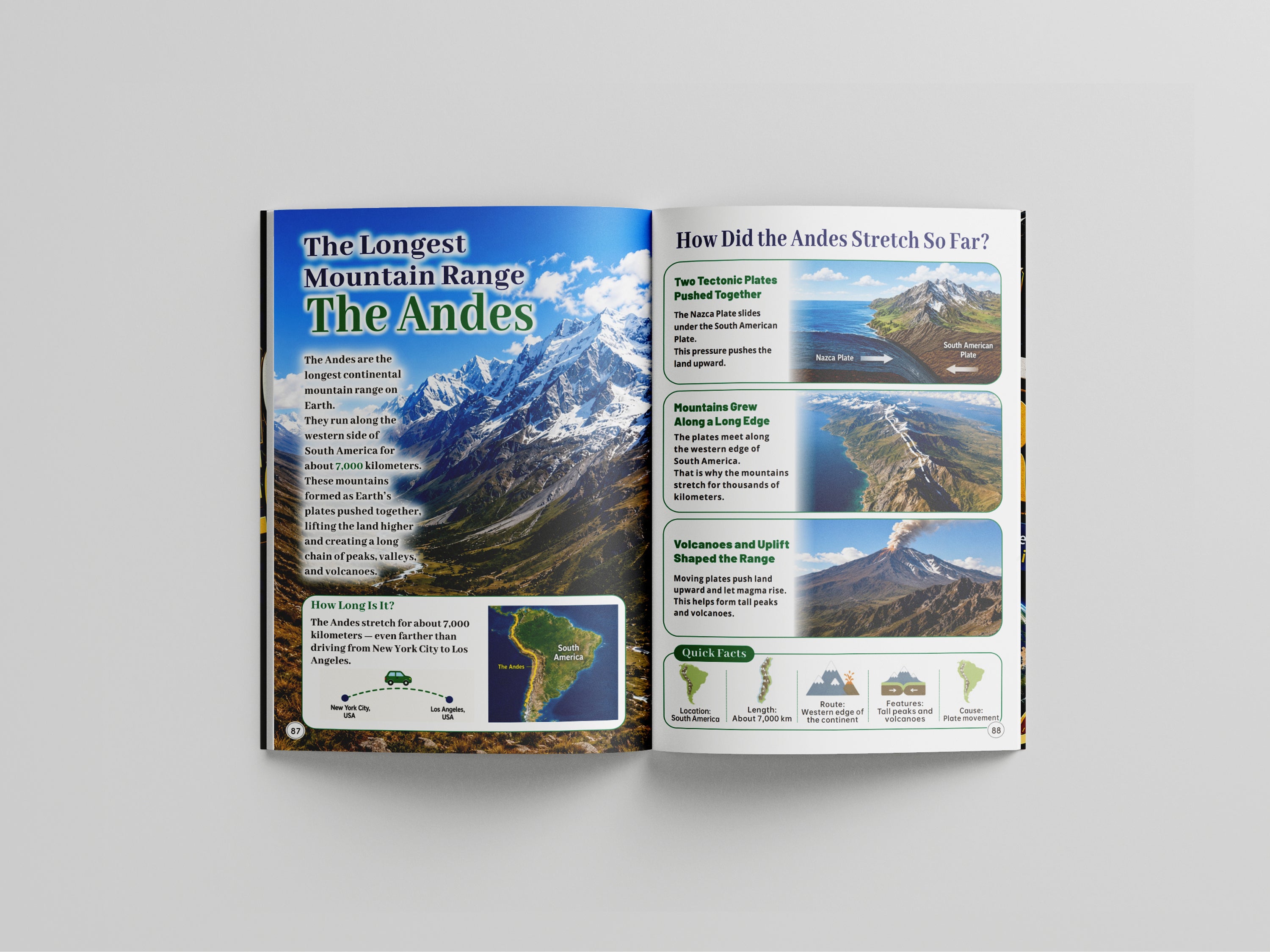 World Records Book A World Record Encyclopedia That Sparks Curiosity A 10-in-1 Illustrated Book